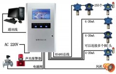 环氧氯丙烷报警器在某大型化工厂的应用案例